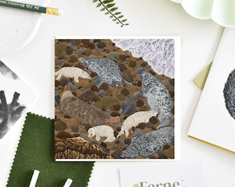 Carte de voeux pour la saison des mises bas de phoque gris - carte d'anniversaire illustrée de la faune, papeterie d'art animalier pour les amoureux de la nature