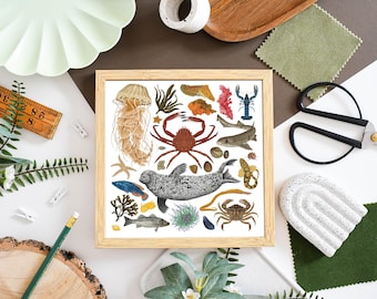 White Marine Life Wildlife Print