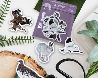 British Alpine Wildlife Sticker Pack, Bird of prey, Golden eagle art, Bird watching gift, Scottish Art, Vinyl sticker bundle limited edition