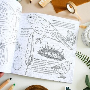 British Bird of Prey Colouring Book – Educational Fun for Kids & Adults, Nature Learning, Wildlife Art Activities