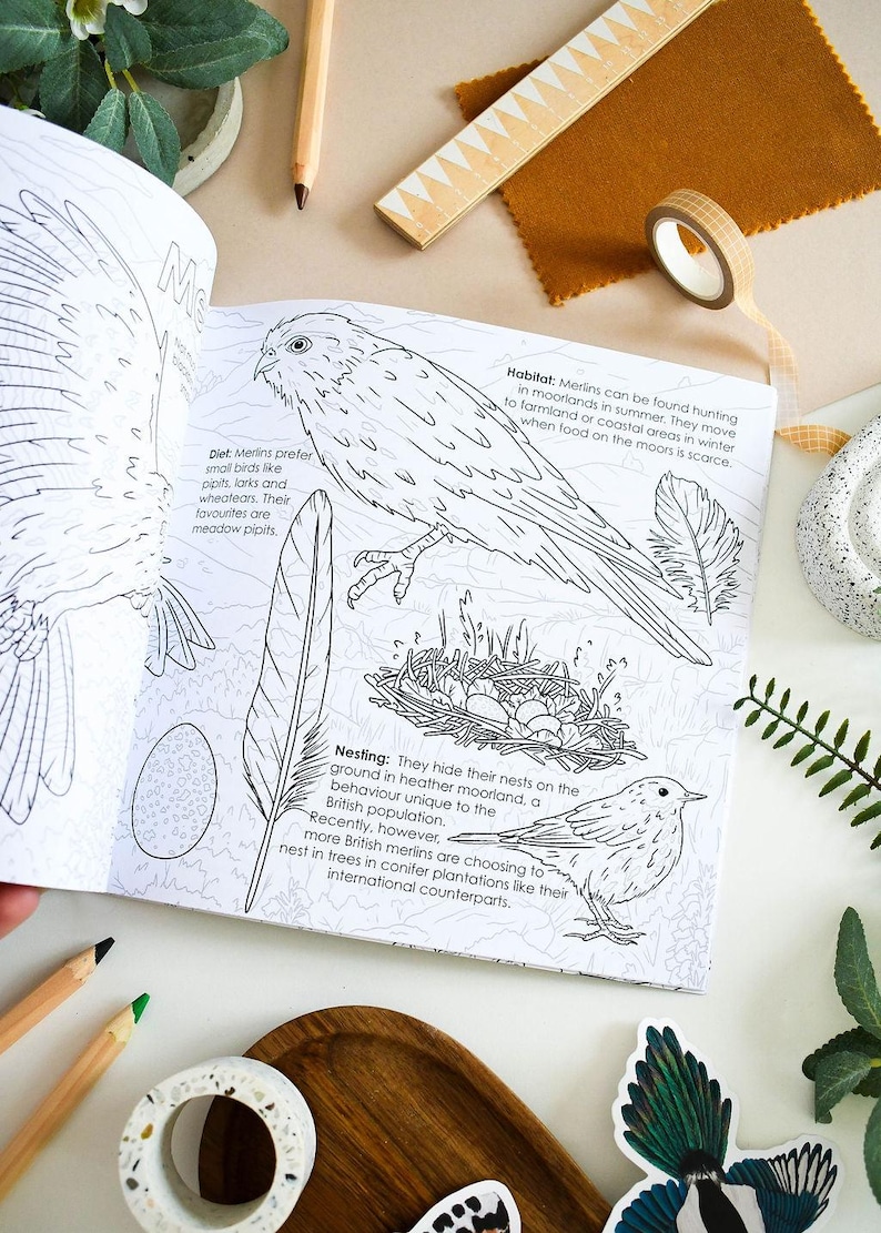 British Bird of Prey Colouring Book – Educational Fun for Kids & Adults, Nature Learning, Wildlife Art Activities