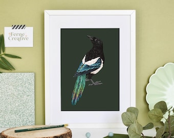 Eurasian Magpie Illustration Print | Vintage Bird Art, Home Decor, Nature Wall Art, Gift for Bird Lovers & Collectors