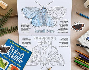 British Butterflies Colouring Book, 38 pages, Childrens colouring, Adult Mindful colouring, Homeschool Unit, Montessori for nature lovers