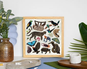 Amazon Wildlife Print