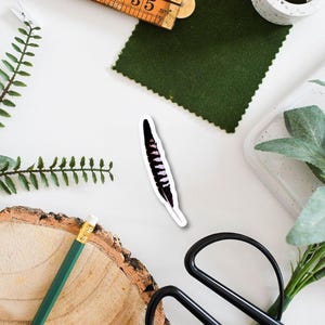 Common Cuckoo Feather Vinyl Sticker