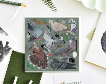 Pigeon & Dove illustrated Greetings Card, Pigeon appreciation, pigeon lover gift, British Birds, Bird lover gift, wildlife illustration