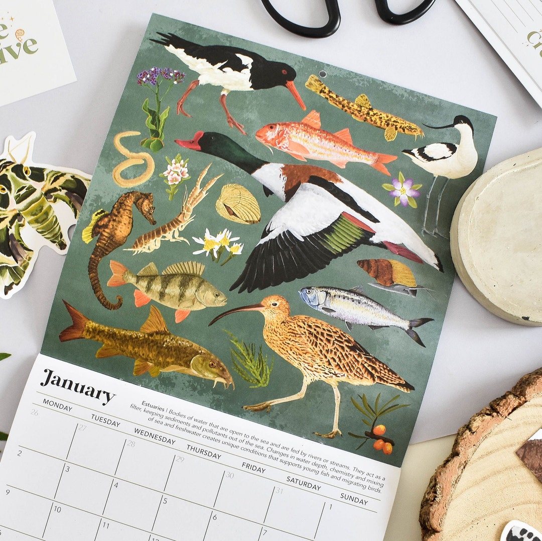 British Wildlife Calendar 2025 Monthly Calendar 2025 Etsy UK