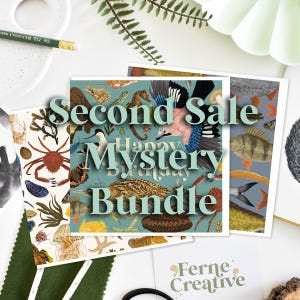 Tweede verkoop Mystery Card-bundel: geïllustreerde natuurkaarten voor natuurliefhebbers, uniek cadeau, milieuvriendelijk briefpapier