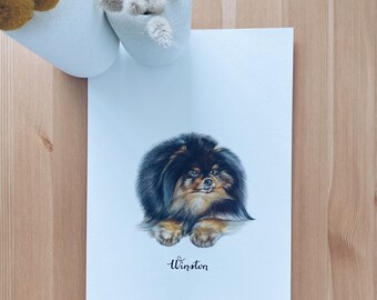 A4 custom colour pencil pet illustration