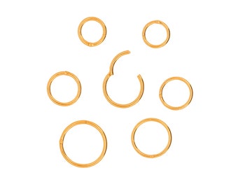 Vermeil | Anneaux de segment de cerceau de charnière en argent 925 recouvert d'or 24 carats 16G/18G | Cerceau clicker | Septum | Cartilage | Daith | Conque | 6mm 8mm 10mm