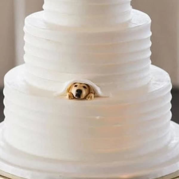 Personalized custom pet dog wedding cake , pet birthday cake , animal cake, wedding CakeTopper, dog wedding cake topper