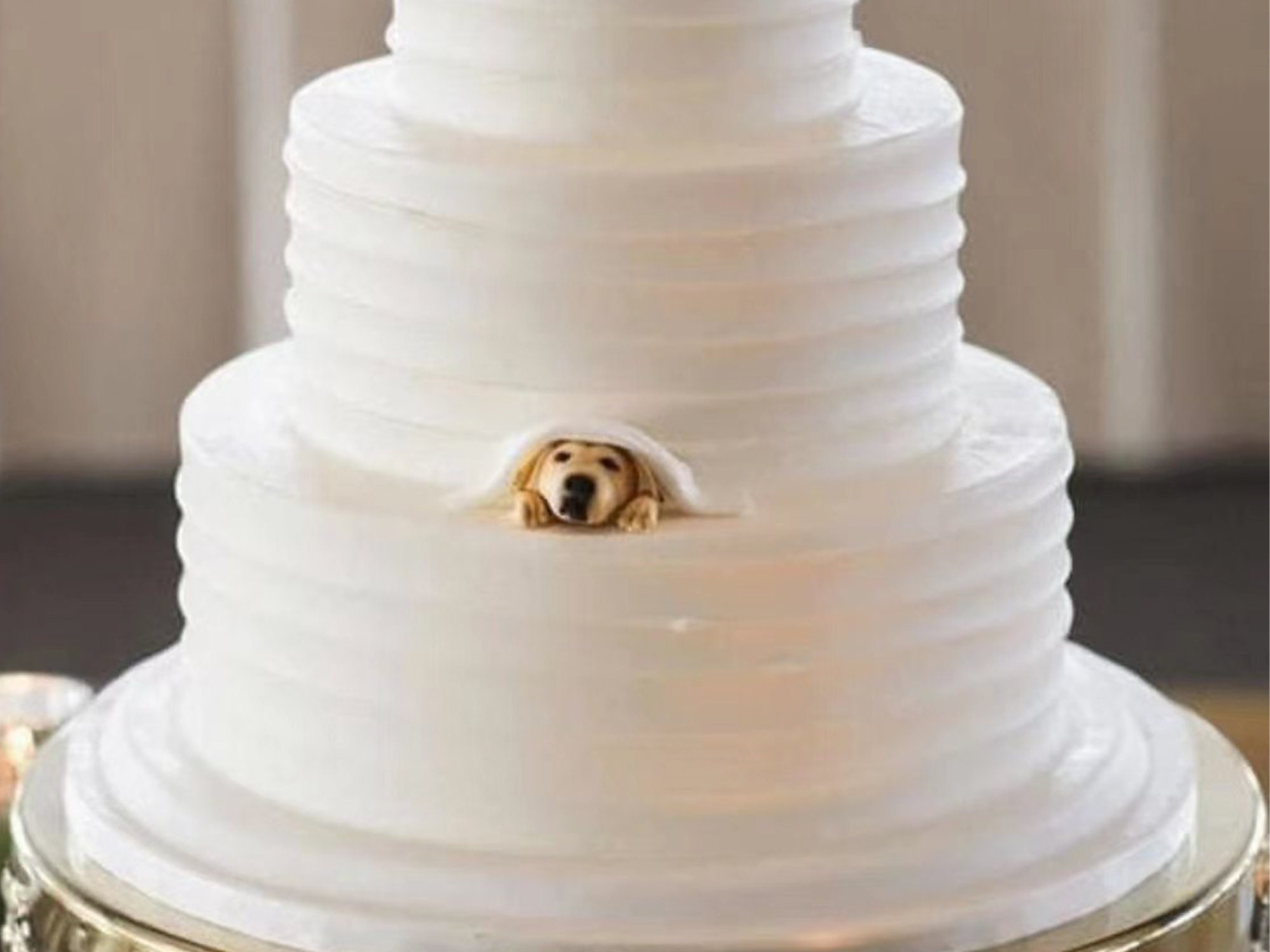 Personalized Custom Pet Dog Wedding Cake Pet Birthday Cake Etsy UK