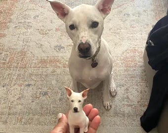 May include: A white dog sitting on a rug, looking at the camera. A smaller white dog figurine is being held in a person's hand.