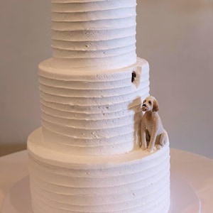 Aangepast 3D-standbeeld teddyhond: gepersonaliseerde huisdiertaarttopper