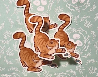 Sticker chat orange | sticker chat brillant | autocollant chat mignon | autocollant découpé | Sticker ordinateur portable et bouteille d'eau