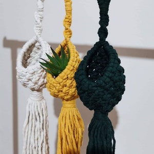 May include: Three macrame plant hangers with tassels. The hangers are white, yellow, and green. One hanger has a small succulent plant inside.