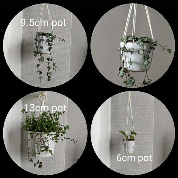 Mini macrame plant hanger, short no tassel plant hanger for trailing hanging plants new home gift in the UK