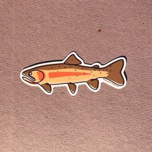 Single Line Cutthroat Trout | Matte Decal