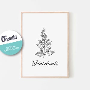 Patchouli, flower, floral, herbs, kitchen art, plant, linear art, linear herbs, Essential Oil, wall art, gift, rustic, digital download