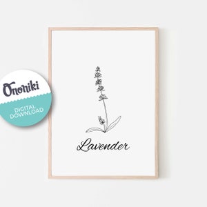 Lavender, flower, floral, herbs, kitchen art, plant, linear art, linear herbs, Essential Oil, wall print, gift, Bw, rustic, digital download