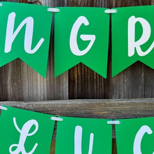 Graduation Banner, Graduation Banner Personalized, 2026 Graduation Banner, Graduation Decor, Graduation Party, Class of 2026,Graduation Sign image 4
