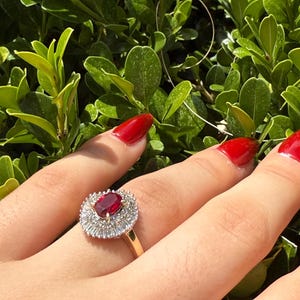 Puede incluir: Un anillo de oro con una gran piedra central de rubí ovalada, rodeada por un halo de pequeños diamantes y diamantes baguette. El anillo se muestra sobre un fondo de follaje verde. El primer plano resalta el diseño intrincado del anillo y el rojo vibrante del rubí.