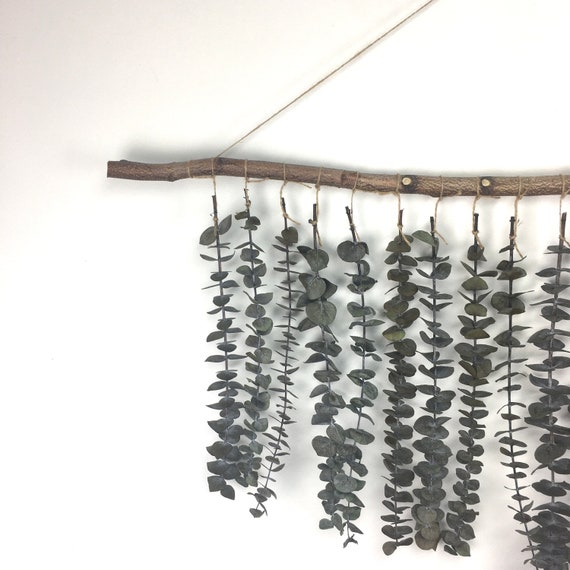 Preserved Real Eucalyptus Wall Hanging Botanical Art Natural Etsy