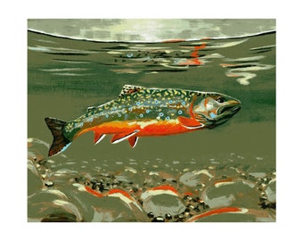 Brook trout acrylic painting print