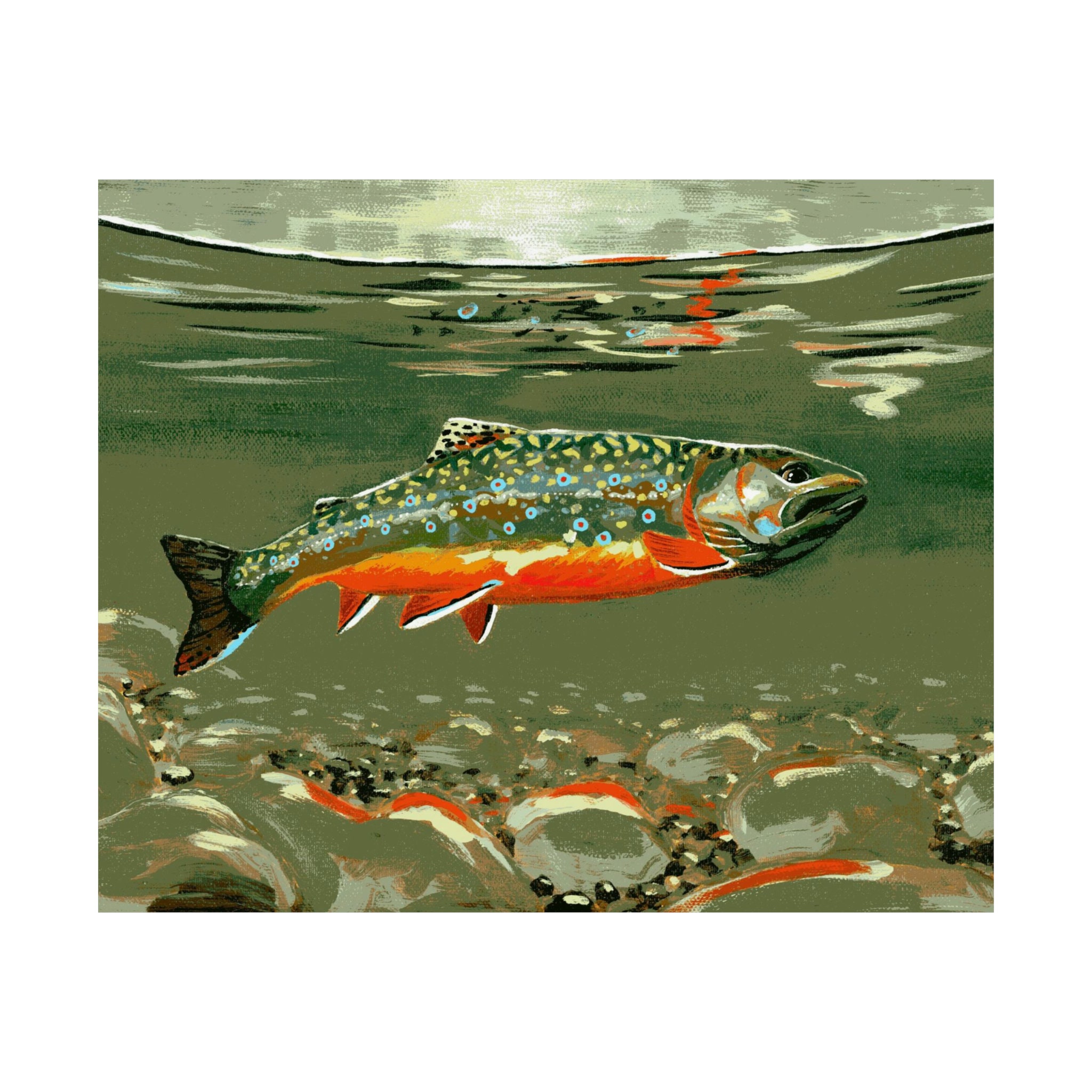 Brook Trout Painting 