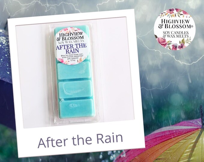 AFTER THE RAIN Soy Wax Melt Bar