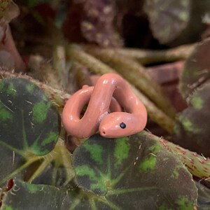 May include: A small, pink, ceramic snake figurine with a black eye. The snake is curled up in a coil shape and is resting on a green leaf.