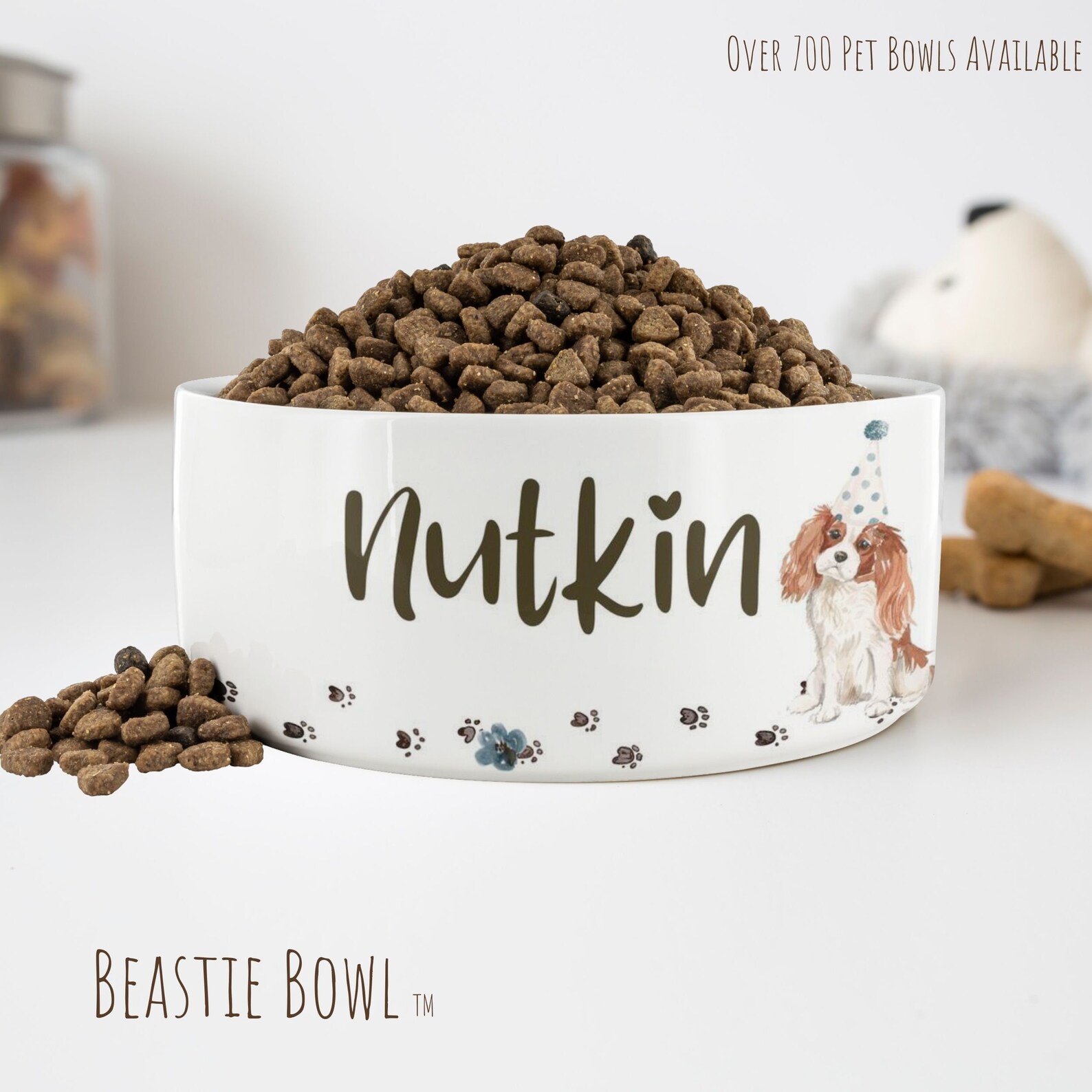 Cavalier King Charles Spaniel Personalized Ceramic Dog Bowl Etsy