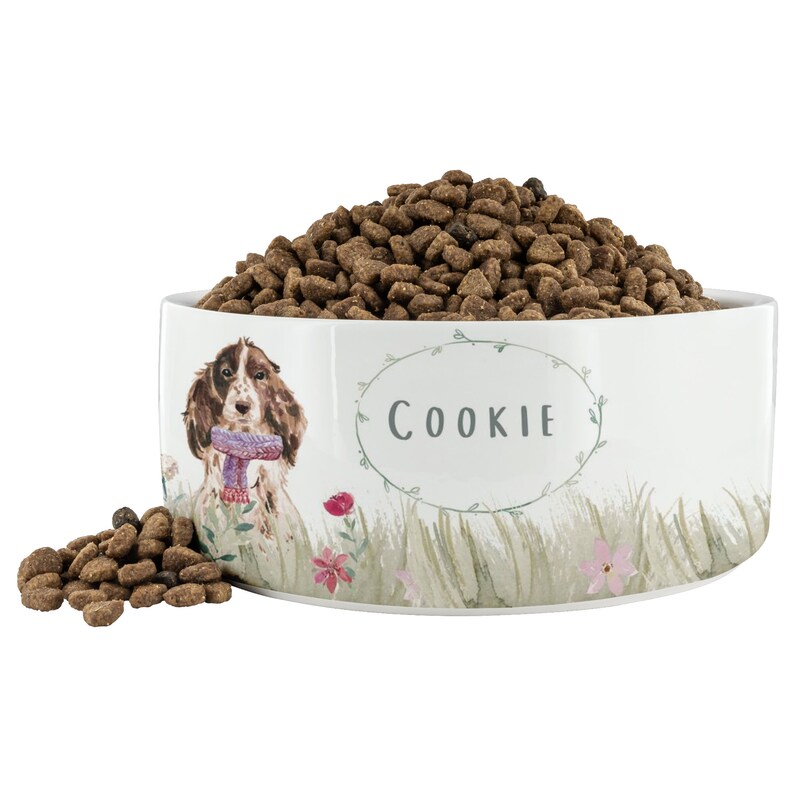 Custom Dog Bowl Dog Bowl Cat Bowl Floral Dog Bowl