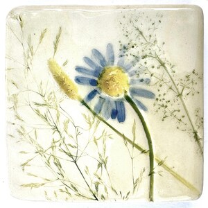 May include: Square ceramic coaster with a blue daisy and yellow centre, set amongst green and yellow grasses. The floral design is on a cream-coloured background, creating a natural, botanical theme.