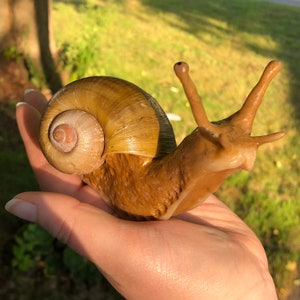 Cute Snail Sculpture- Realistic snail sculpture with real shell