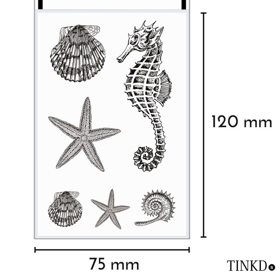 Tatuajes Para Pegar Concha De Caballito De Mar Estrella De Etsy