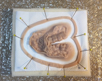 Può includere: Primo piano di uno stampo in silicone rosa chiaro a forma di cuore umano, fissato su una superficie bianca con spilli a testa gialla.
