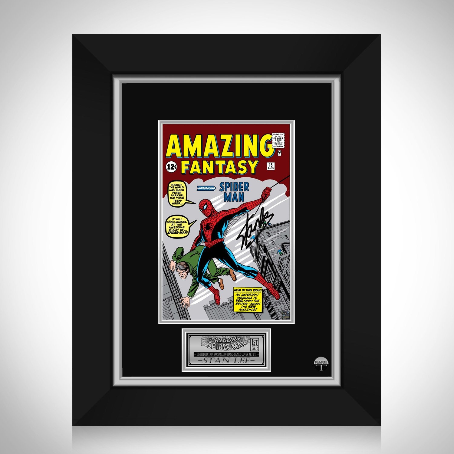 Amazing Fantasy #15 Spider-Man by Steve Ditko 11x14 FRAMED Marvel