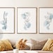 see more listings in the Botanical Wall Art section
