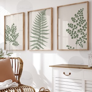 Sage Green Fern Set of 3, Botanical Gallery Wall art, Boho Farmhouse Printable Art, Minimalist Leaves Botanical Art, Modern Home Decor Art