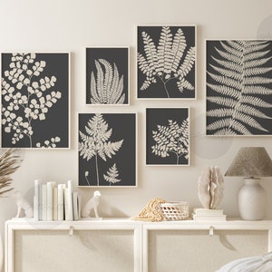 Zestaw 6 neutralnych botanicznych nadruków, minimalistyczne abstrakcyjne botaniczne nadruki paproci, sztuka ścienna Boho Gallery, szaro-kremowa botaniczna dekoracja ścienna, sztuka paproci