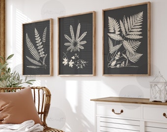Ensemble de 3 impressions botaniques neutres, impressions botaniques  abstraites minimales, art mural Boho Gallery, décoration murale botanique  beige gris, art floral -  France