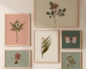 Botanical Printable Set of 6, Wildflowers Herbarium Wall art, Nursery Cottagecore Home decor