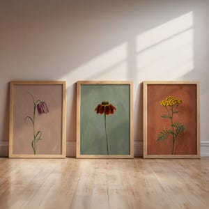 Może przedstawiać: Trzy oprawione botaniczne wydruki artystyczne. Wydruki przedstawiają szczegółowe ilustracje kwiatów na stonowanych tłach. Ramki wykonane są z jasnego drewna. Kwiaty obejmują szachownicę fioletową, czerwono-żółty kwiat i żółty kwiat.