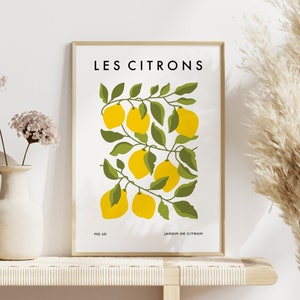 Lemon Fruit Wall Art, Les Citrons Print, Yellow Kitchen Art, Citrus Prints, Home Decor, A5/A4/A3/A2/A1/5x7/4x6