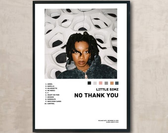 LITTLE SIMZ - Nein Danke Album Poster