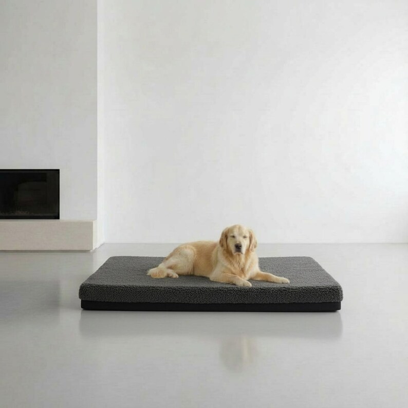K&ouml;nnte beinhalten: Ein Golden Retriever liegt auf einem rechteckigen, dunkelgrauen Hundebett. Das Bett hat eine pl&uuml;schige, strukturierte Oberfl&auml;che und eine schwarze Basis. Der Hund liegt in einem hellen, minimalistischen Raum.