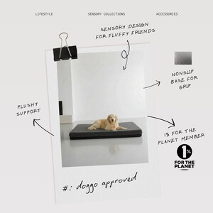 K&ouml;nnte beinhalten: Ein rechteckiges Hundebett in Dunkelgrau mit rutschfester Unterseite. Ein Golden Retriever liegt auf dem Bett. Der Text enth&auml;lt "Sensory Design for Fluffy Friends" und "doggo approved".