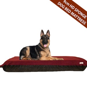 kosipet dog bed