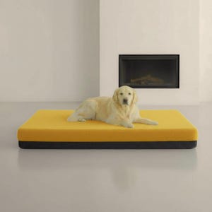 May include: A golden retriever dog rests on a rectangular yellow and black pet bed. The bed is a solid color with a textured surface. The dog is light tan and is lying down.